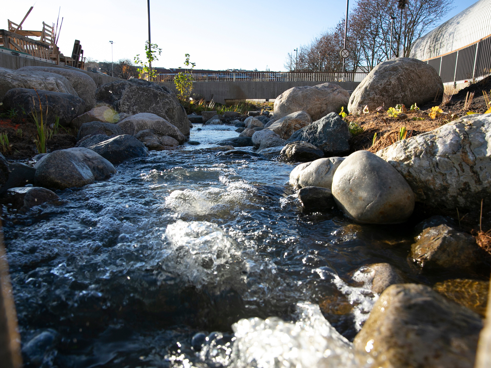 Foto av en bekk.