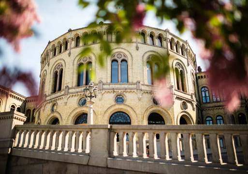 Foto av Stortinget inne fra en blomstebusk