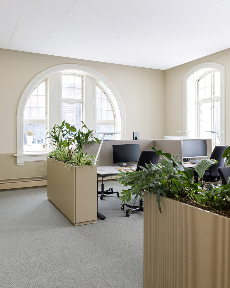 Interiør foto av et åpent kontorlandskap med plantekasser og buet vindu.