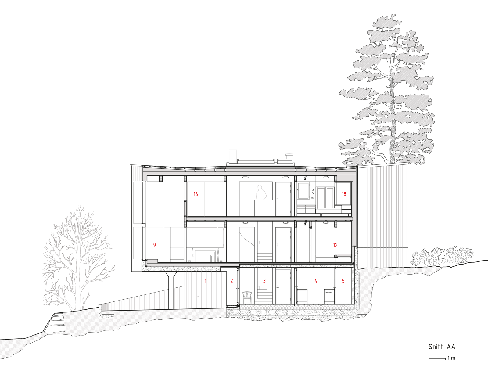 Snitt tegning av enebolig. Arkitekt tegning.