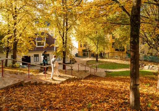 Mann som går ned en trapp i en park i høstfarger.