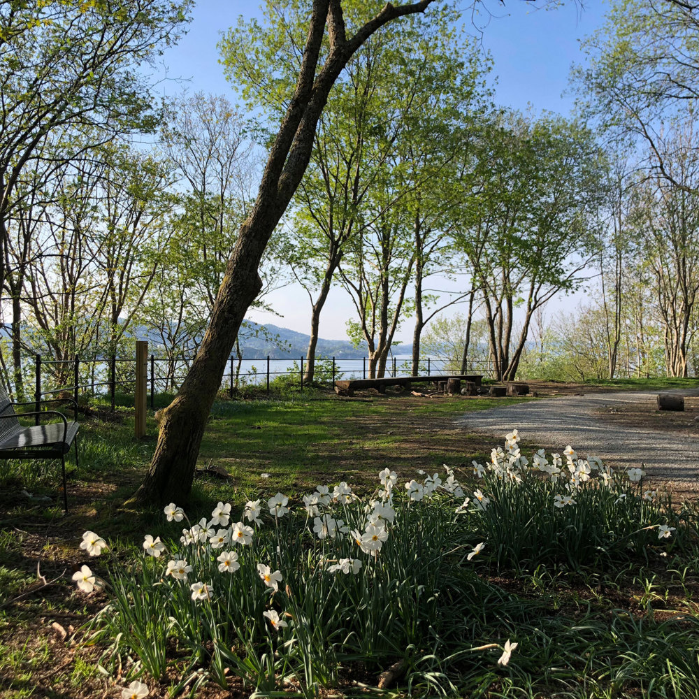En sti går igjennom en skogspark, benk og blomster. Foto.