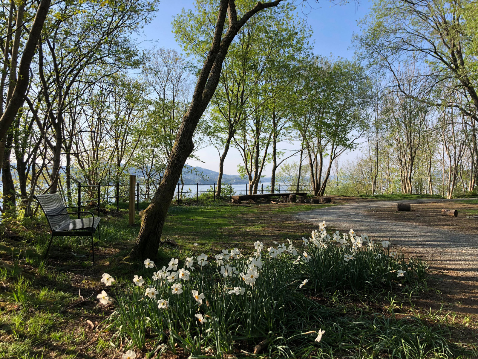 En sti går igjennom en skogspark, benk og blomster. Foto.