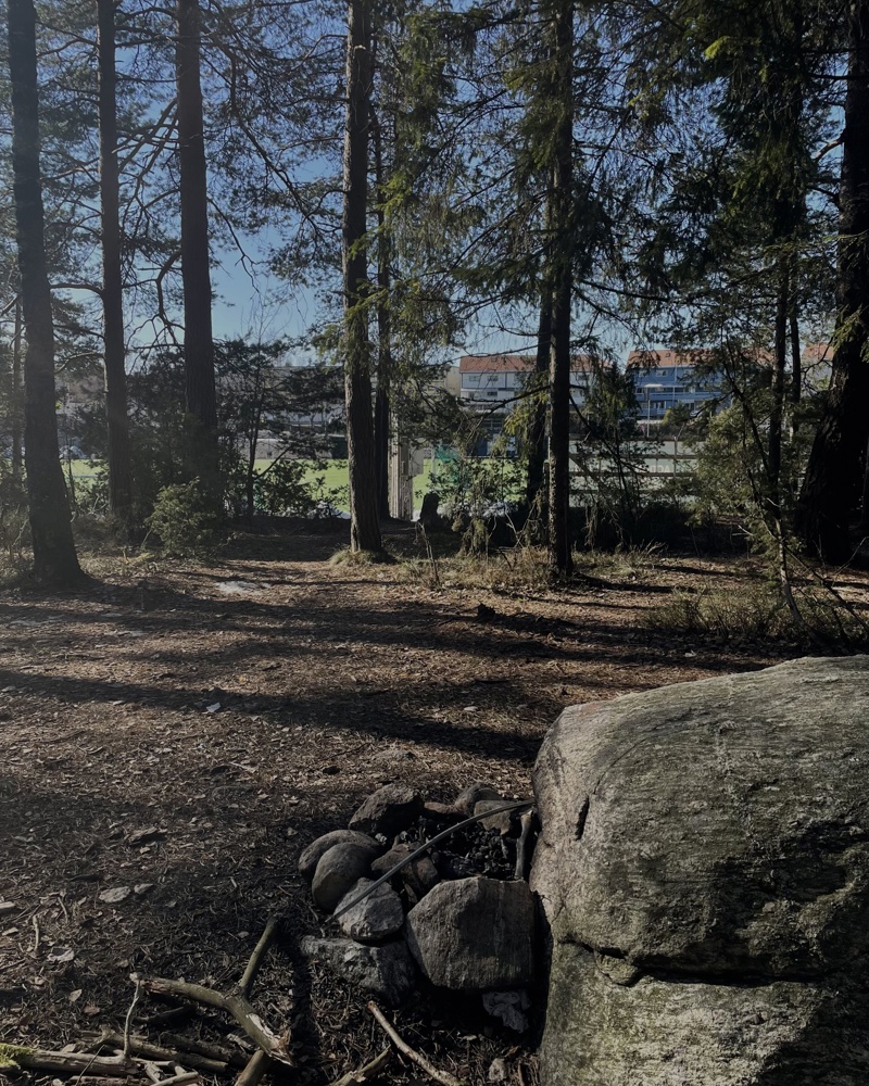 Mortensrud skog.