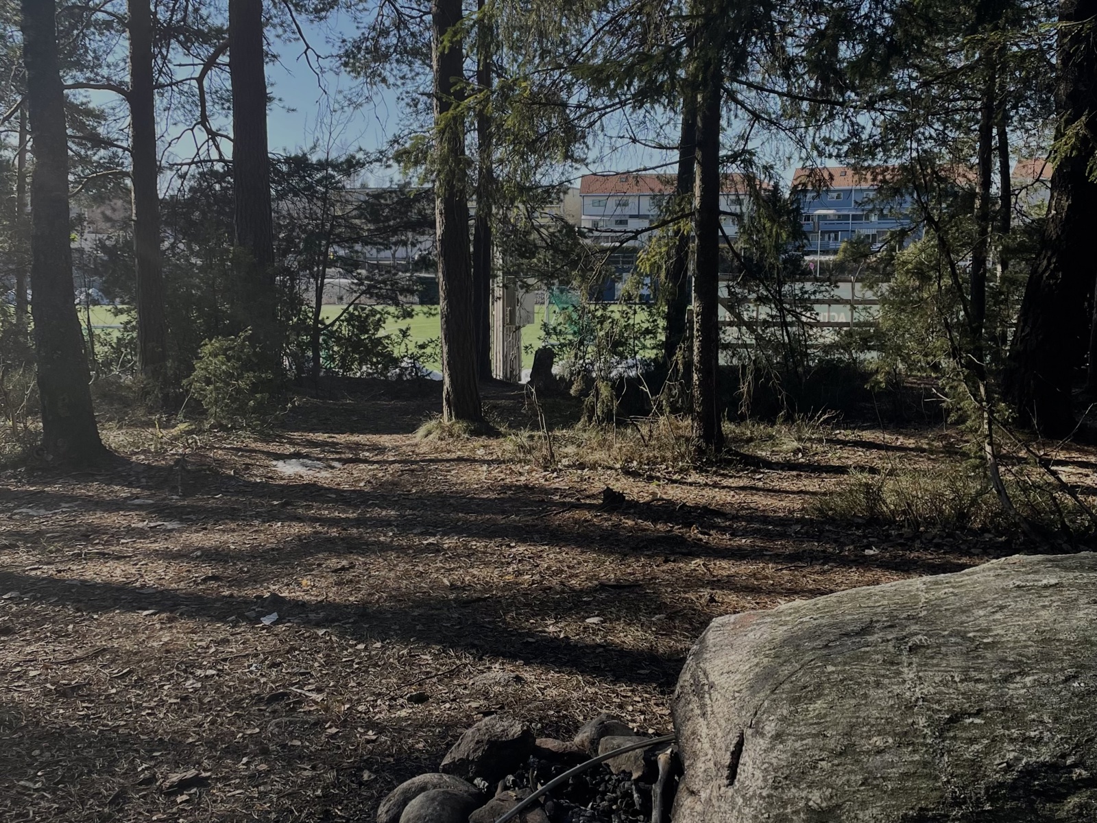 Mortensrud skog.