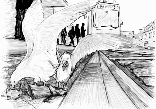 Tegning av måker fremfor en trikk. Illustrasjon.