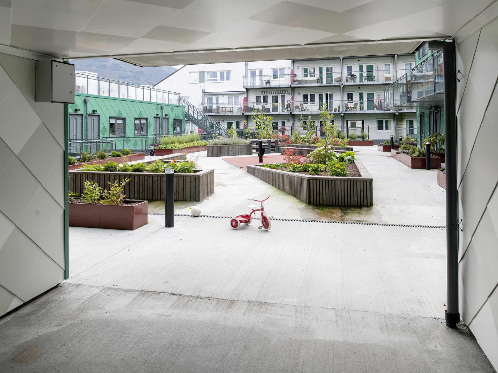 Foto tatt fra gjennomgang i bygg, utsikt til felles takterrasse, plantekasser og en trehjuling.