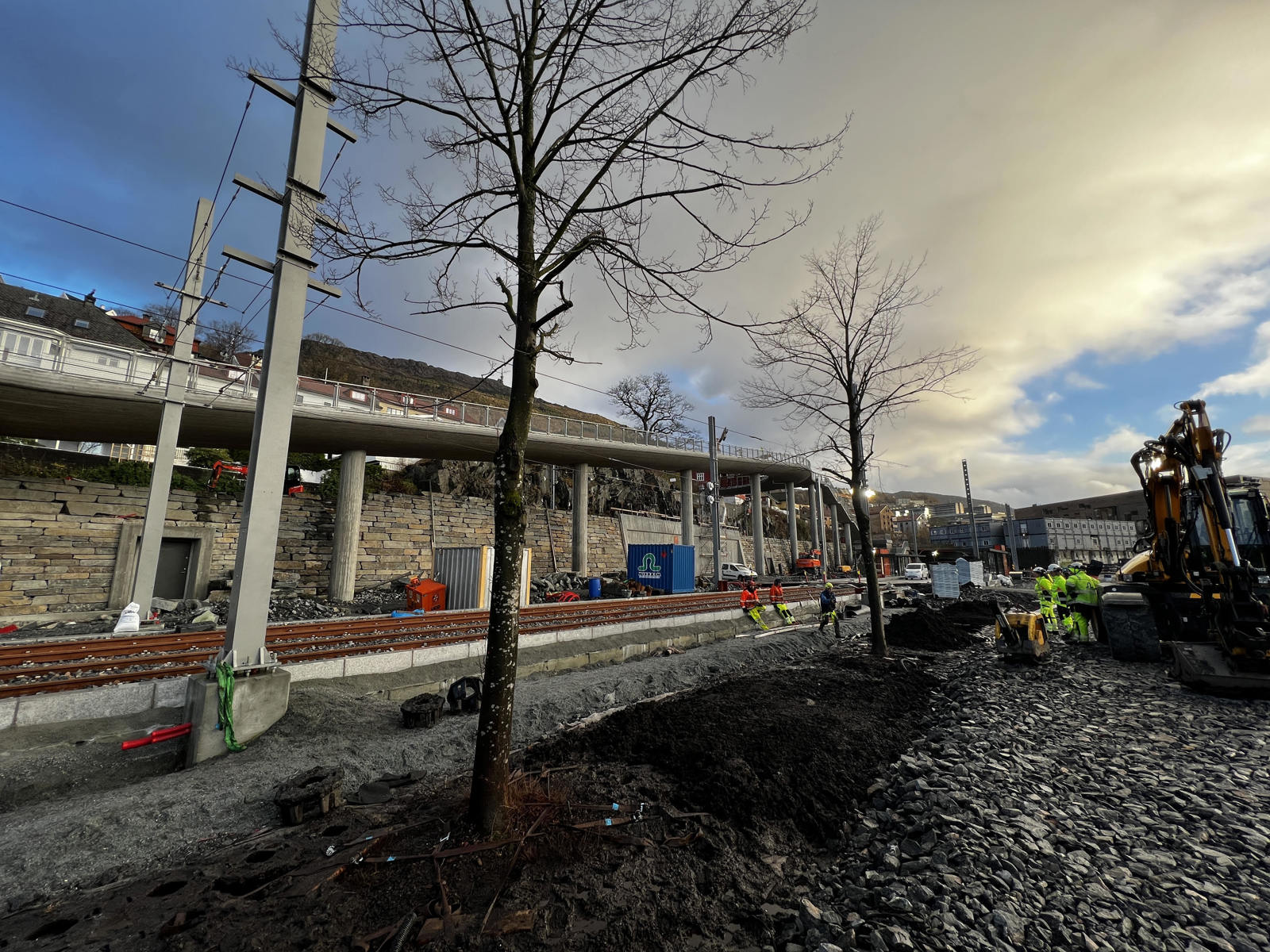 Nyplantede trær langs bybanen i Bergen