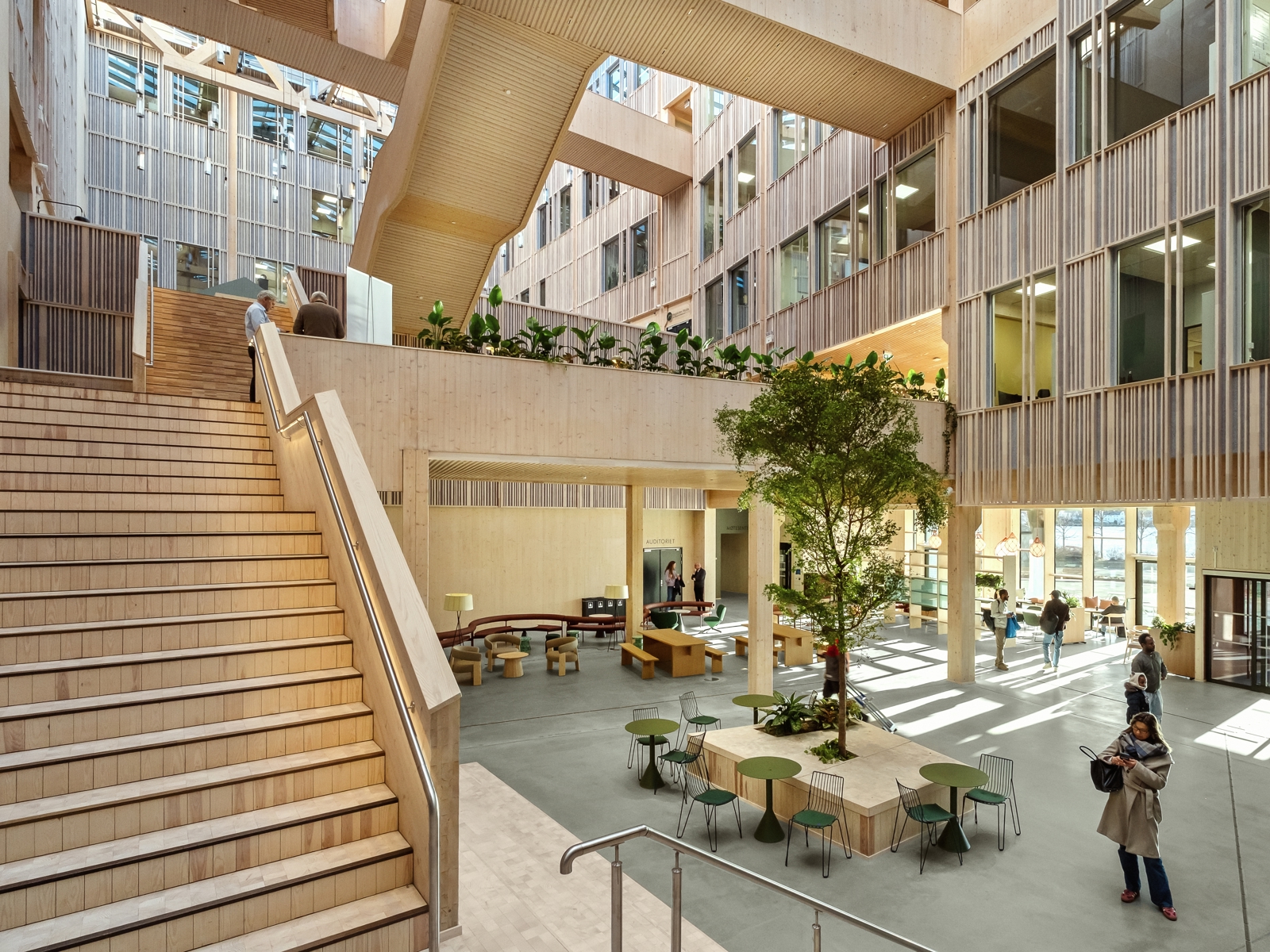 Interiør foto av atriumsrom i utdanningsbygget Campus Kristiansund, treverk som materiale og ulike trapper og nivåer som strekker seg gjennom det mange etasjer høye innerommet.
