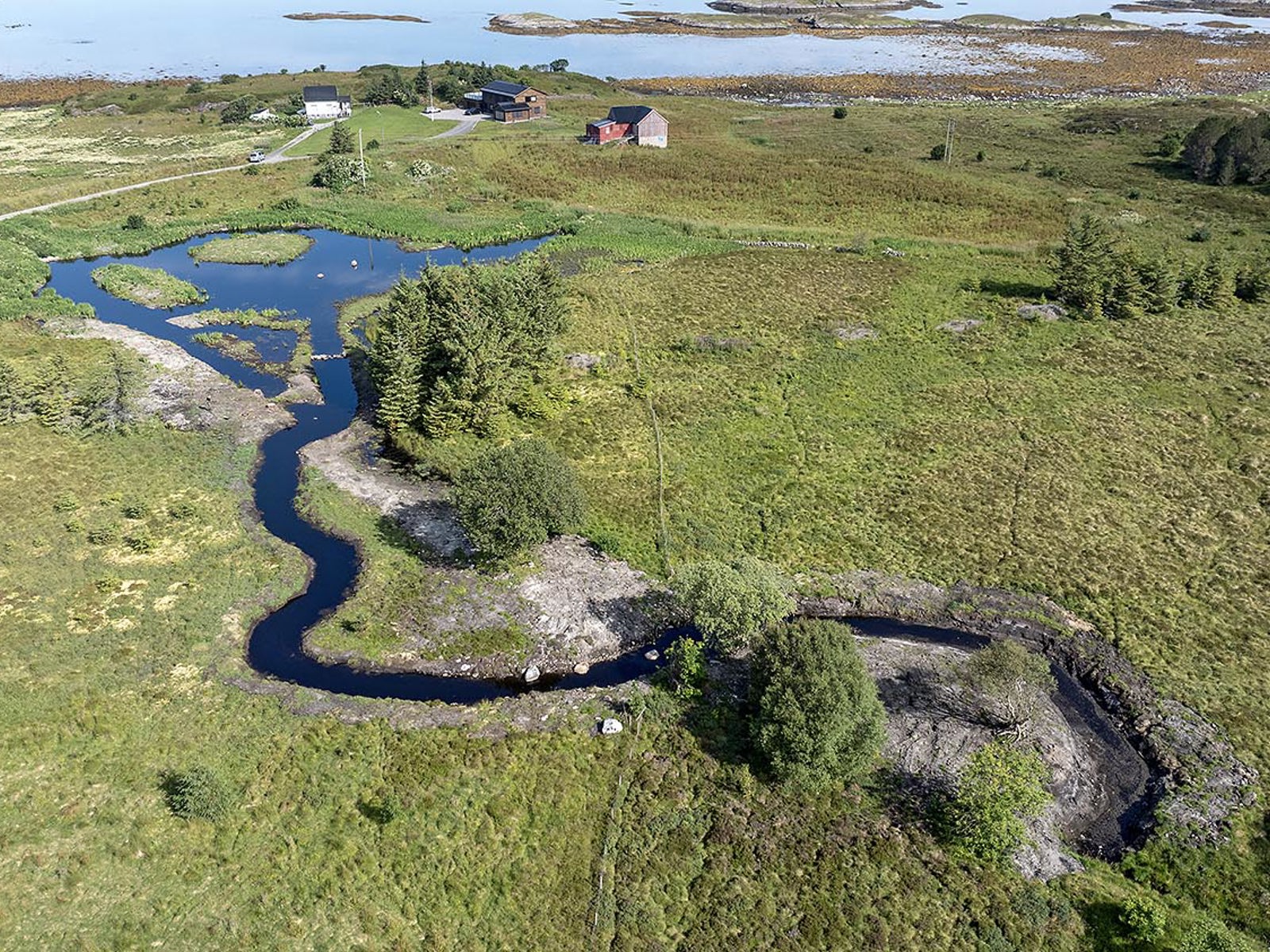 Selviktjønna