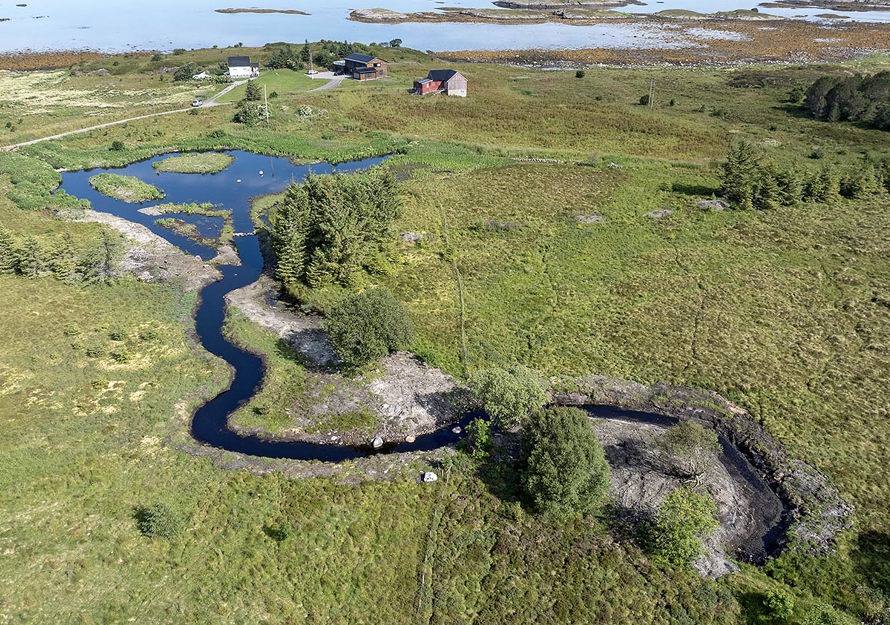Selviktjønna