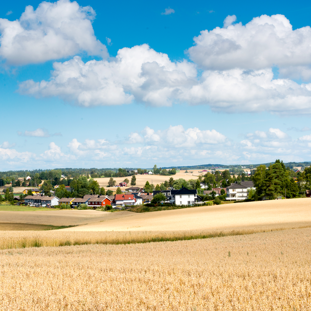 Åkerlandskap med hus