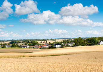 Åkerlandskap med hus