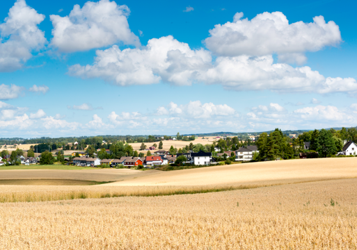 Åkerlandskap med hus