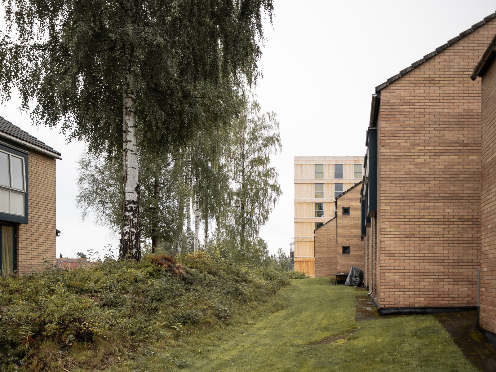 Foto av studentboliger og grøntområde rundt.