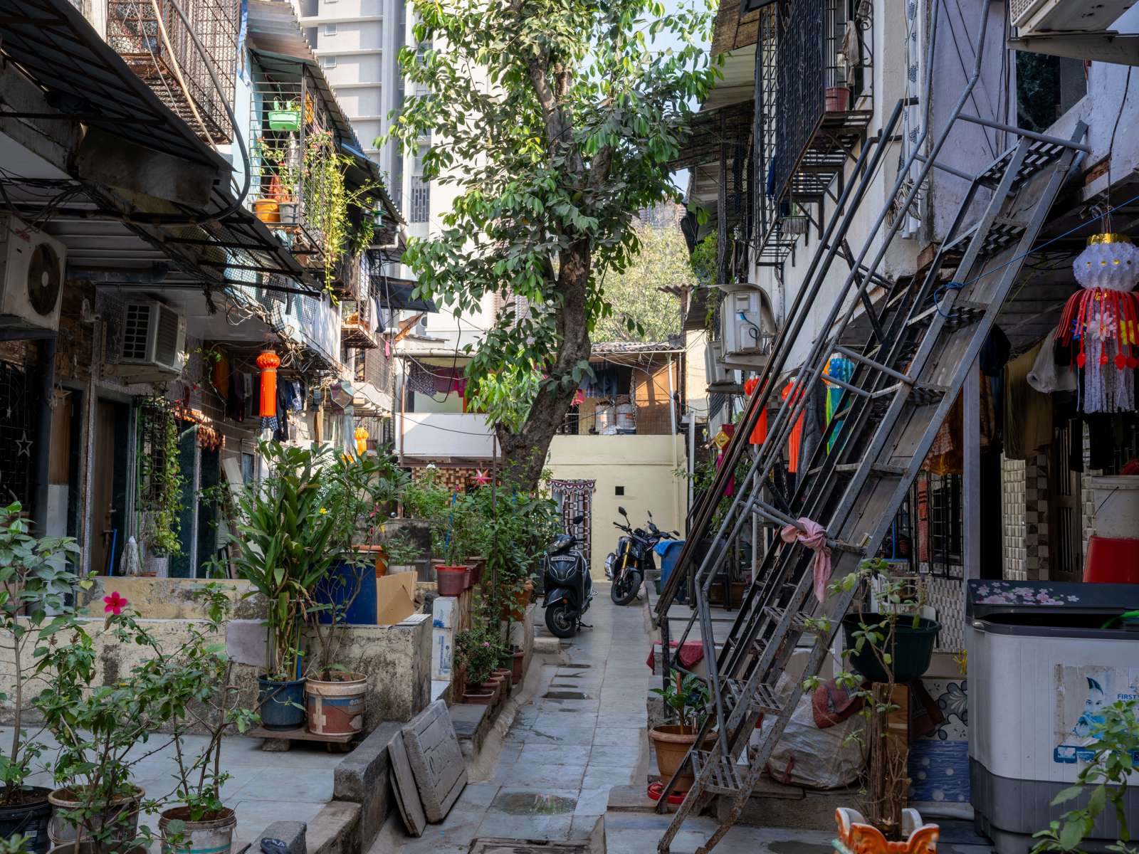 Foto av et fargerikt nabolag i Mumbai med mye planter og personlige gjenstander.