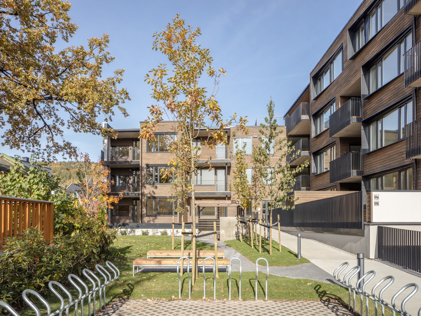 Sykkelparkering i front, bakgård med gress, trær og benker, boligblokk i treverk rundt. Foto.