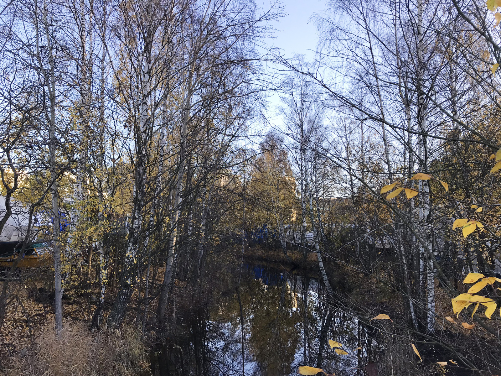 Foto av Hoffselva