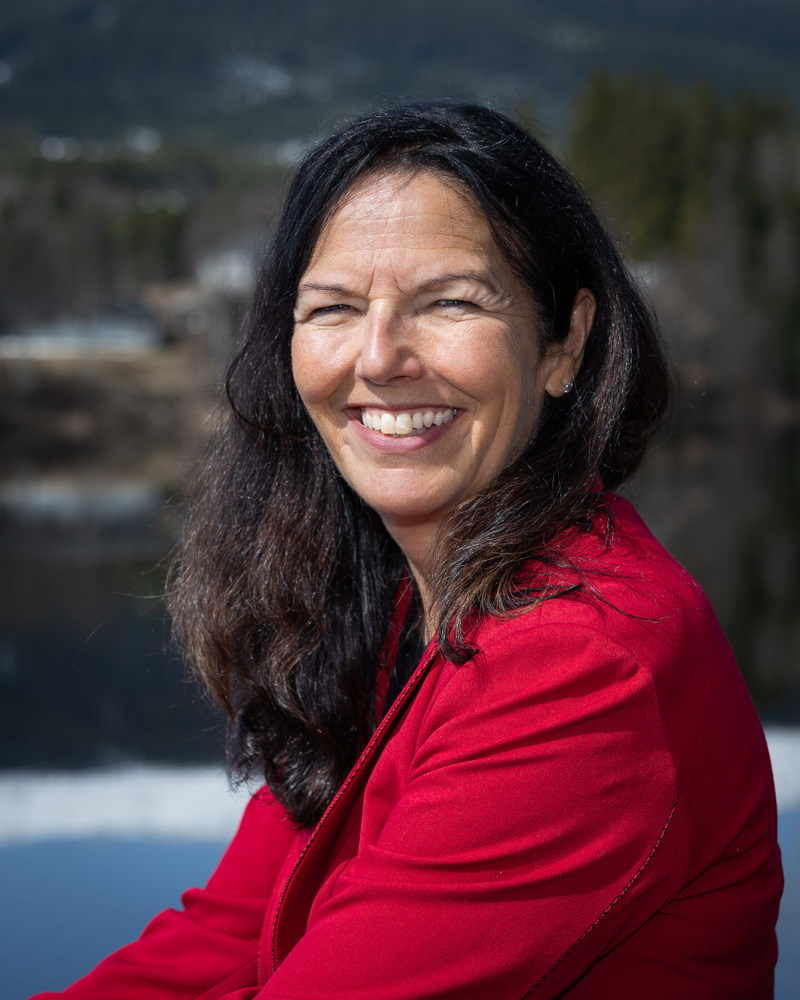 Turid Progg Arkitekturopprør i Trysil - Arkitektur