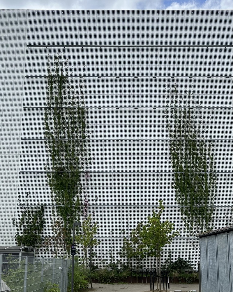 P Hus Robert Jacobsen