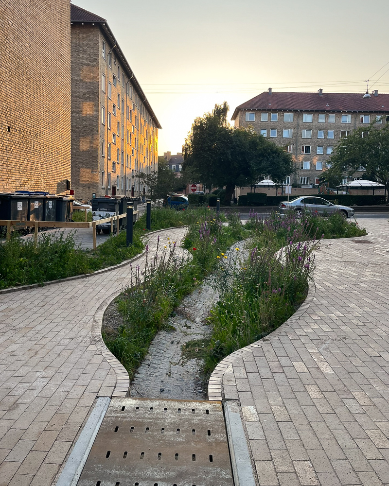 Foto av overvannsanlegg i enden på park.