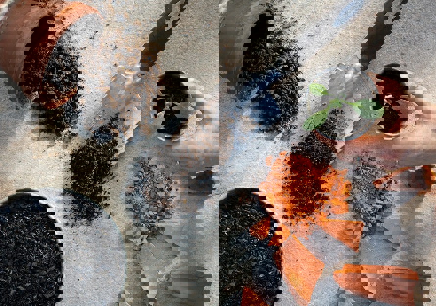 Bilde av plantejord og teggelstein.