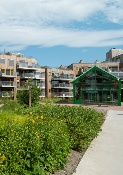 Foto av bakgård i boligkvartal, med frodige plantefelt.