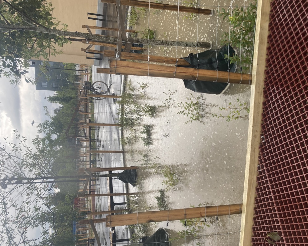 Fylt overvannsbedd med vann i skolegård under regnvær. Foto.