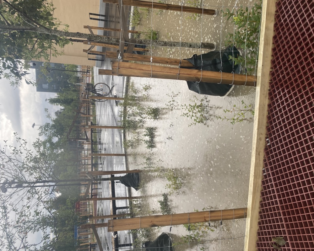 Fylt overvannsbedd med vann i skolegård under regnvær. Foto.