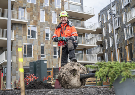 Grindaker_trær_Vannkunsten