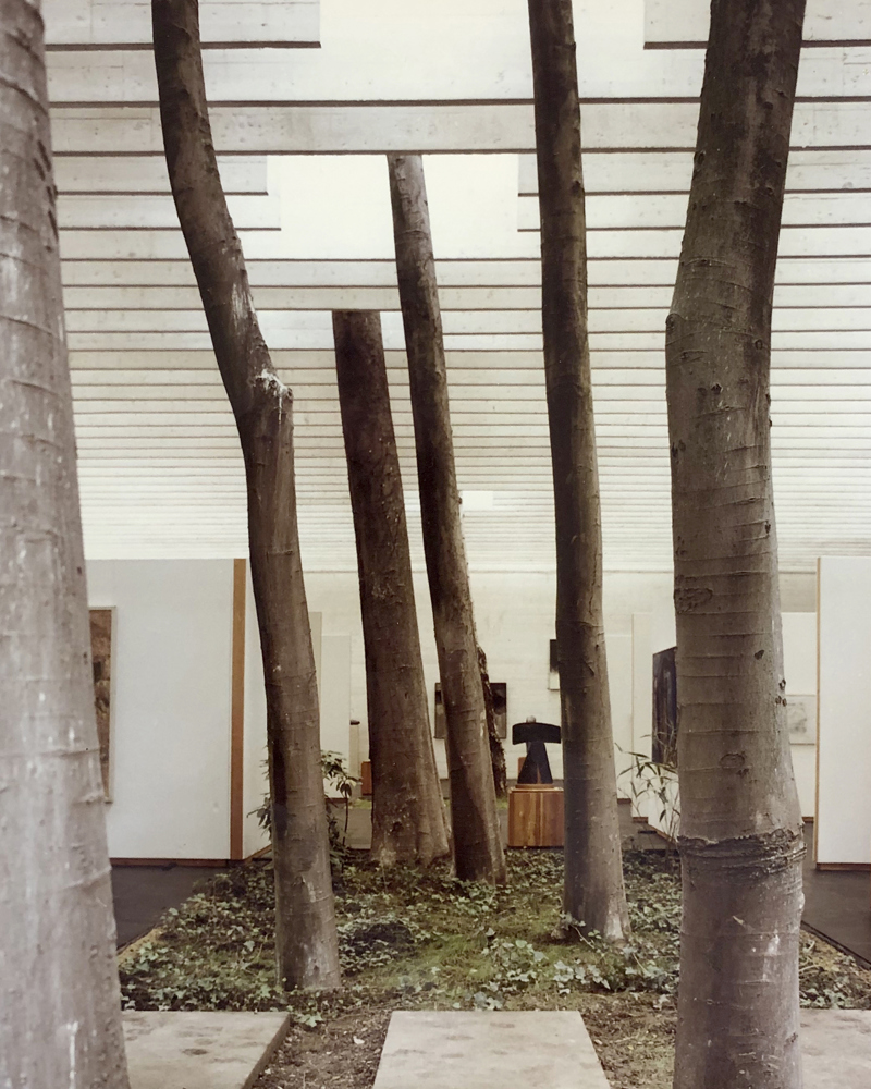 Trærne i paviljongen sett blant utstillingen