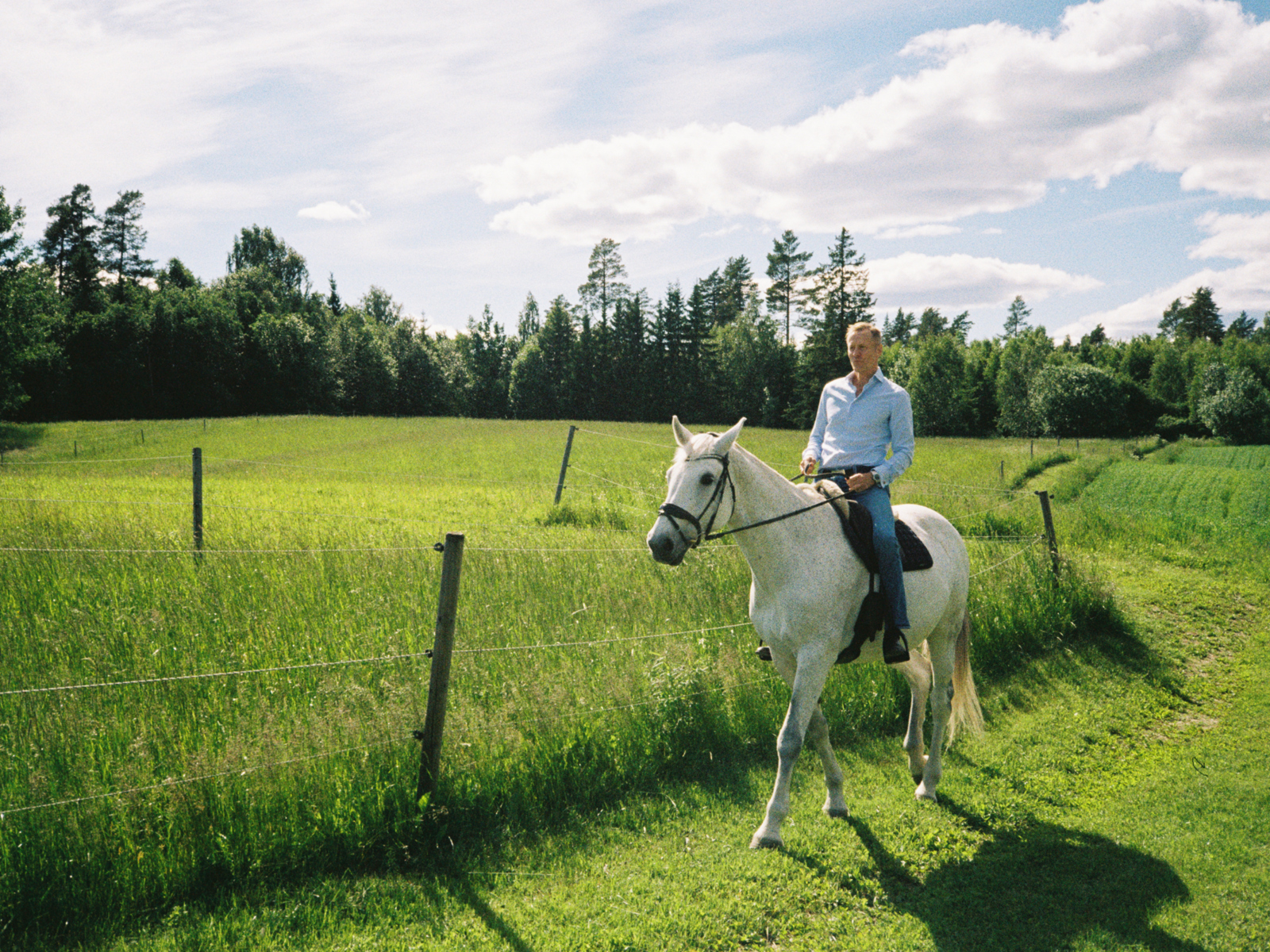 Hest R Vi må få arkitekten med stor A opp på hesten igjen - Arkitektur