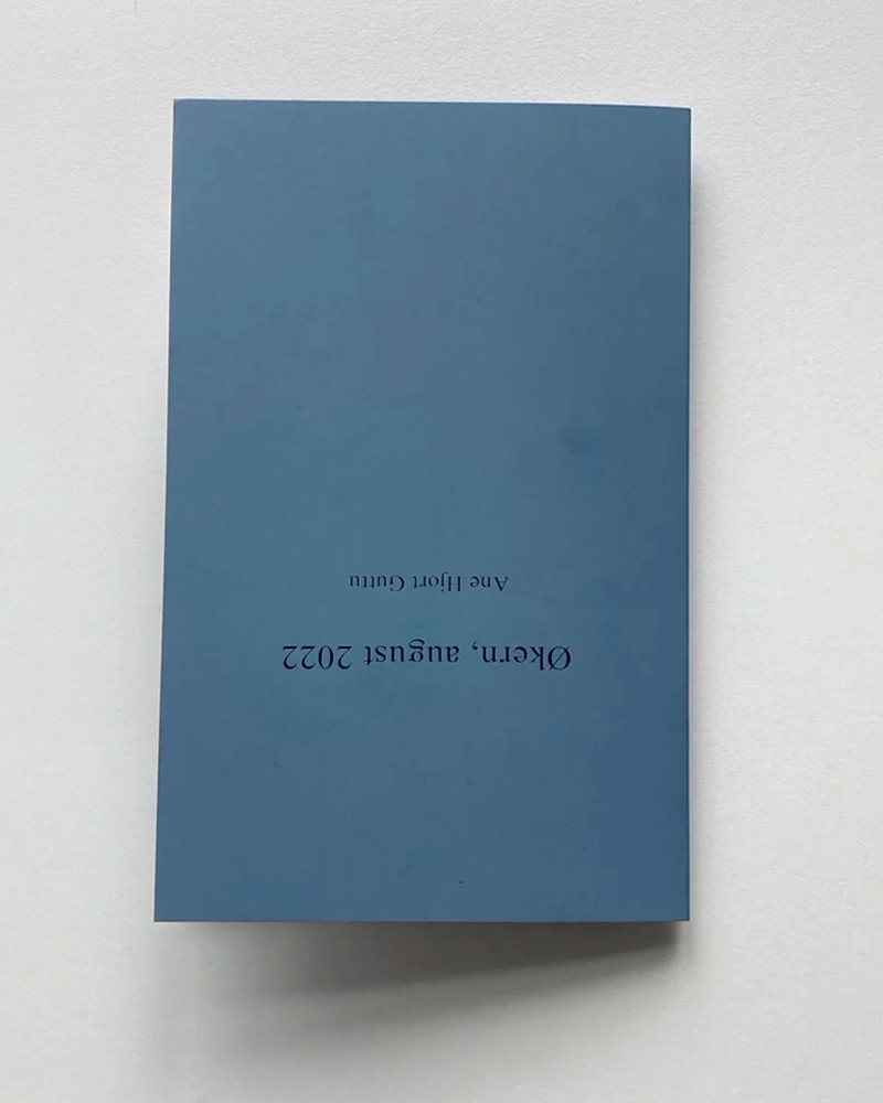 Fotografi av en blå bok.