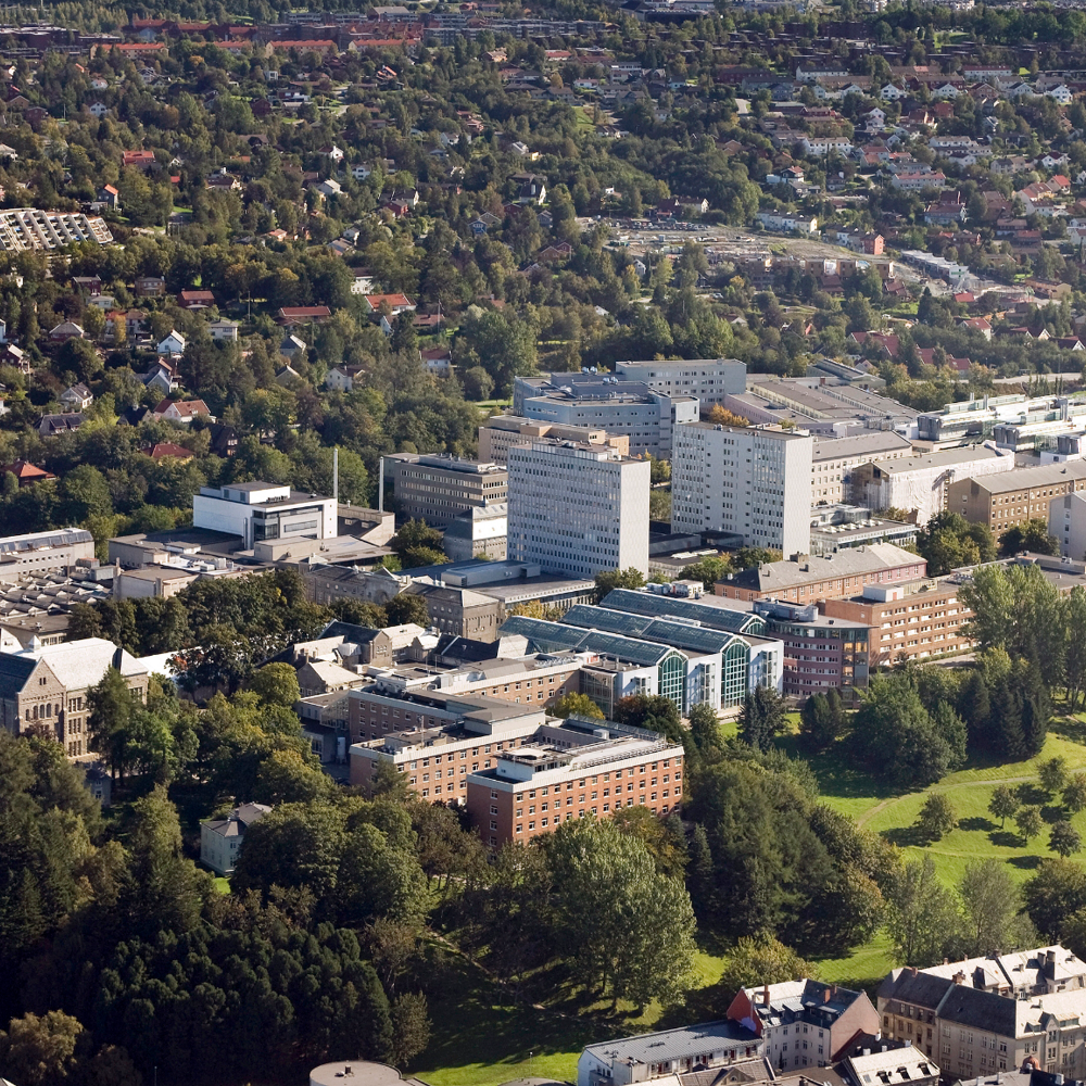 Oversiktsfoto av NTNU