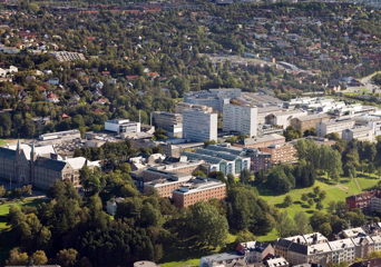 Oversiktsfoto av NTNU