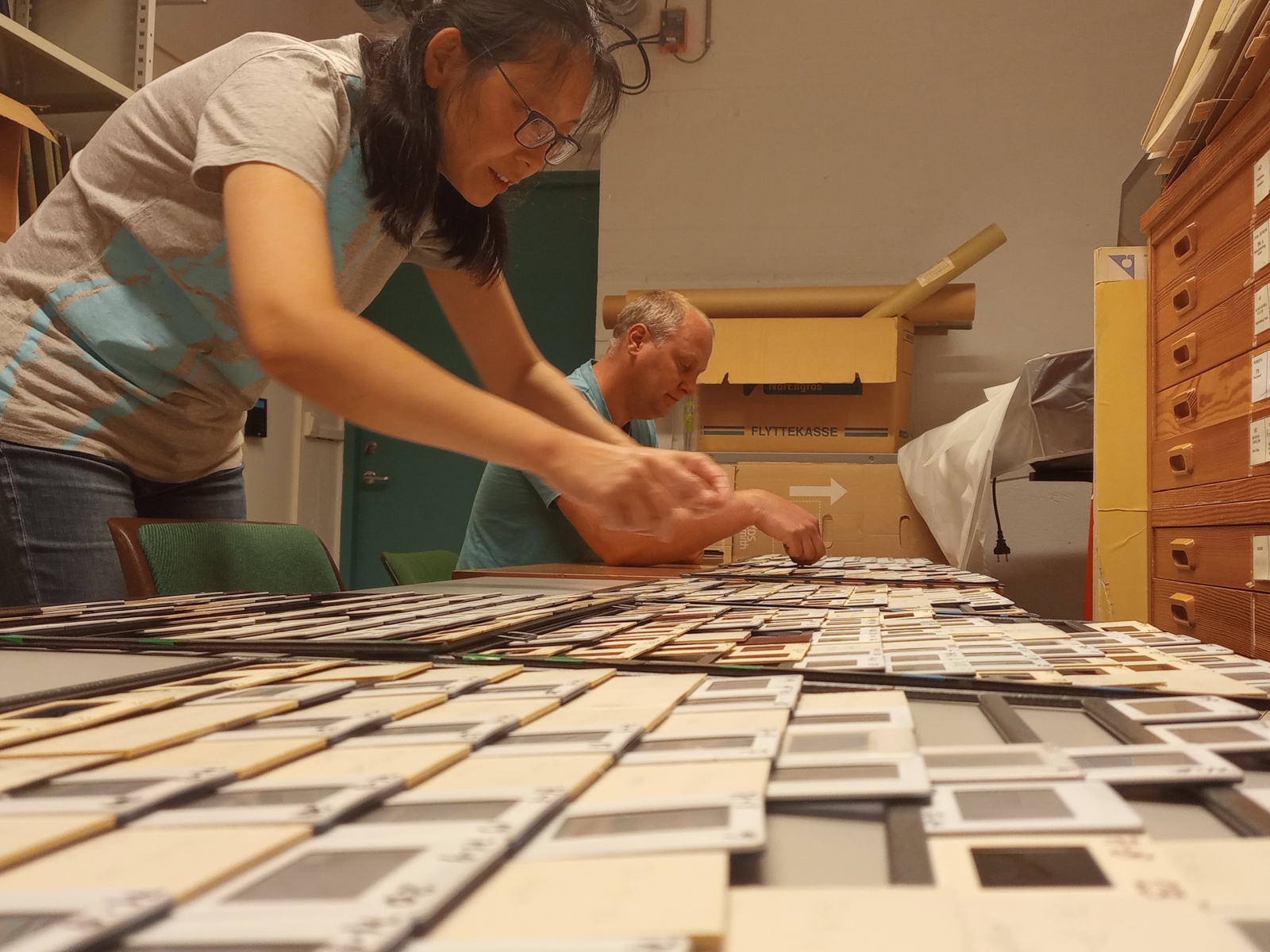 Sortering Lysbilder