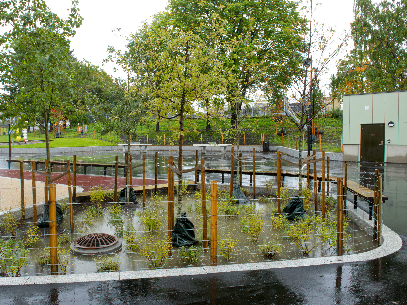 Foto av skolegård og overvannsbedd i regnvær. 