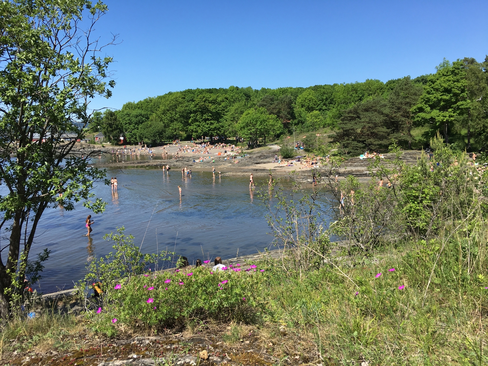 Foto av Hovedøya