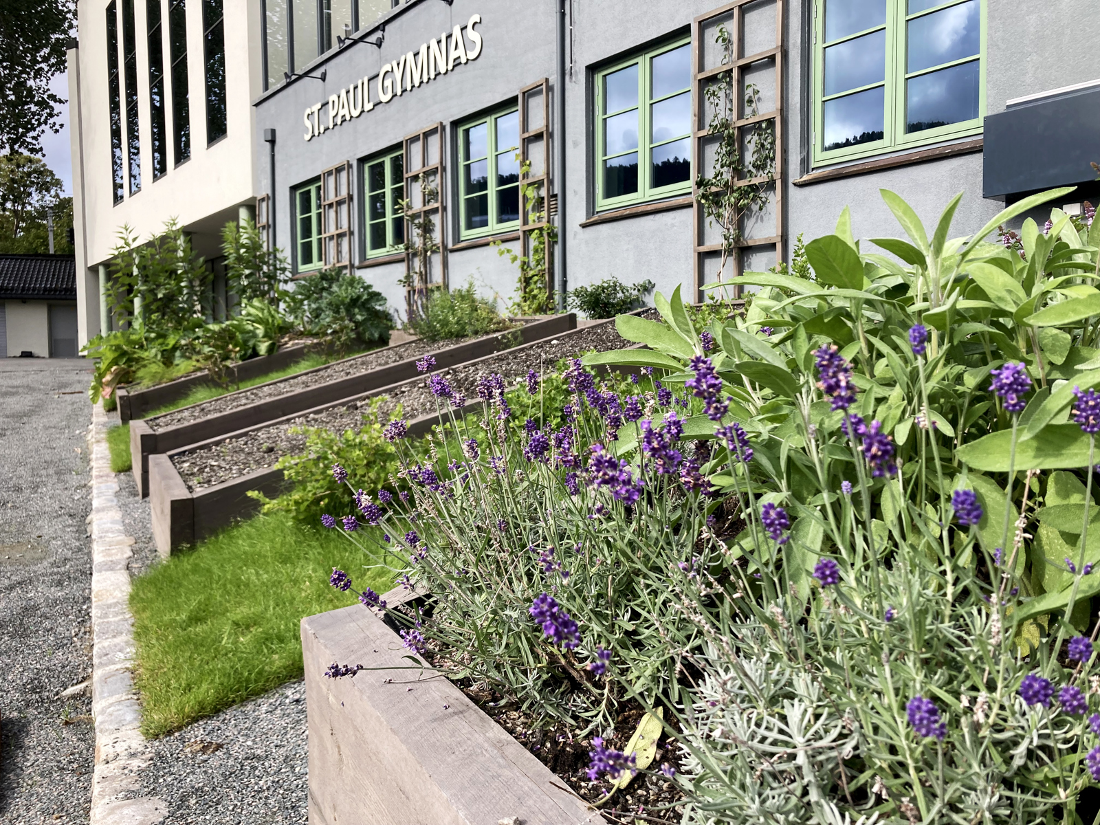 Foto av plantekasser fremfor St. Paul Gymnas.