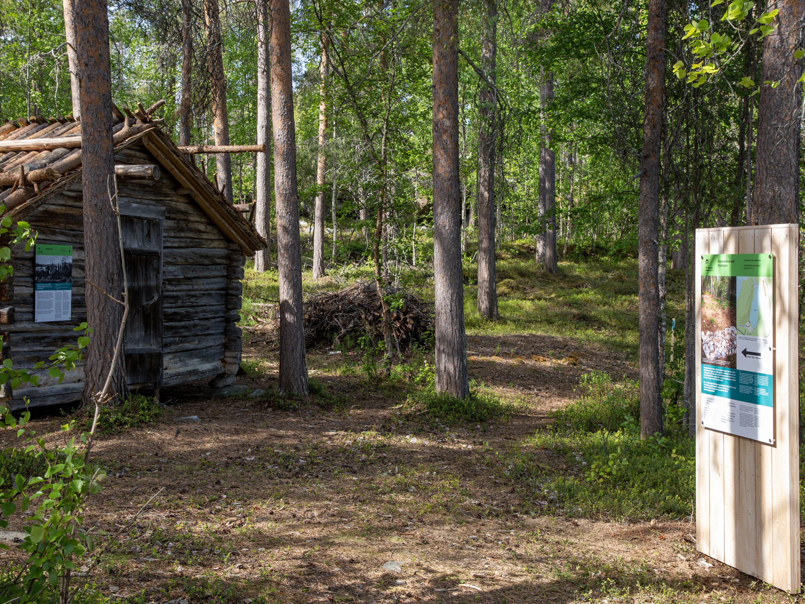 Hytte i skog, trevegg med info plakat. Foto.