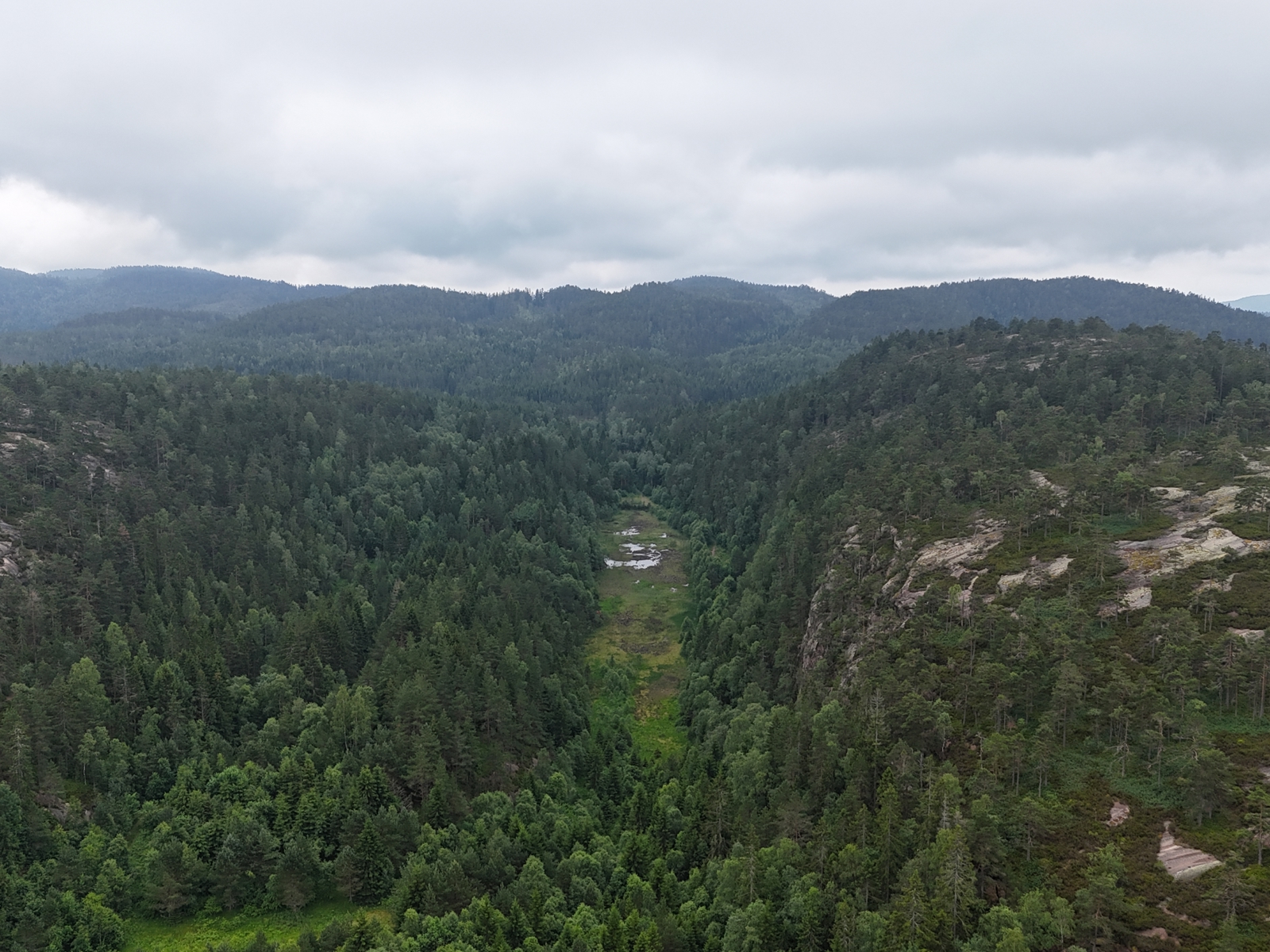 Hurumsmarka_2_Avgrunnsdalen