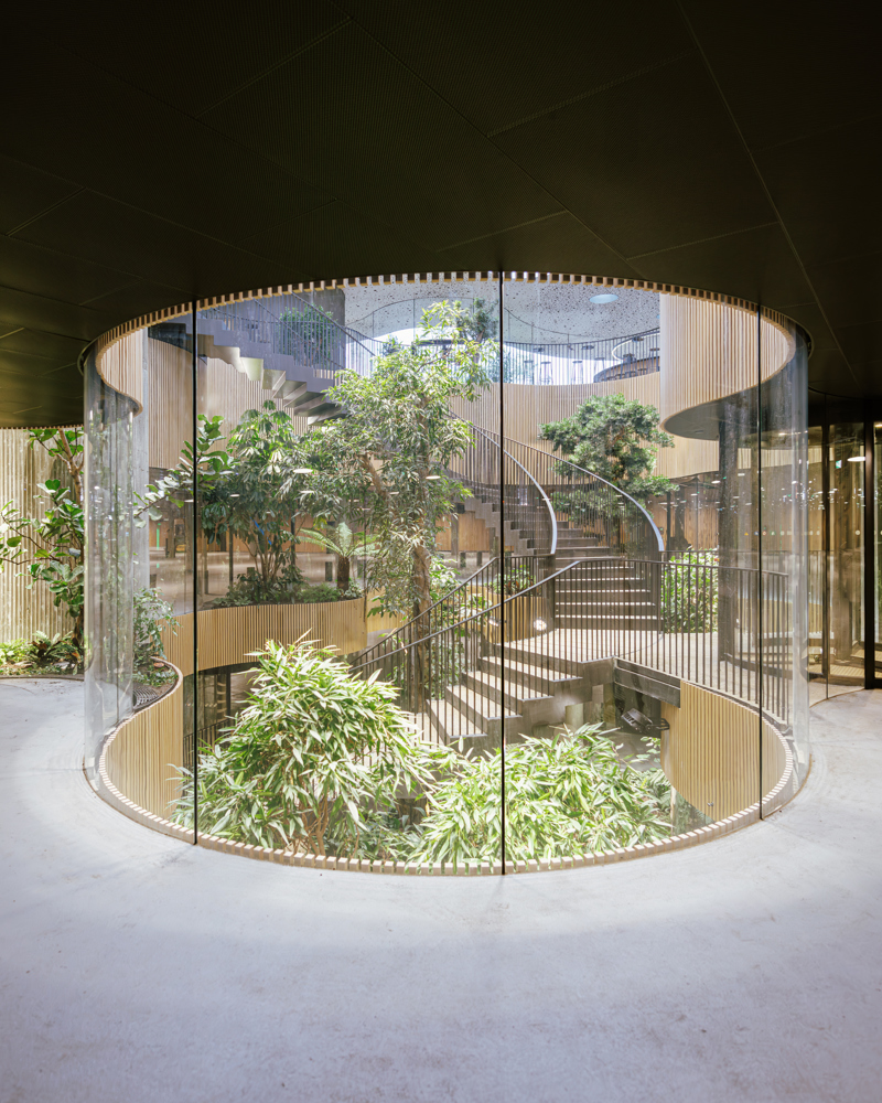 Interiørfoto som viser trær i glass atrium.