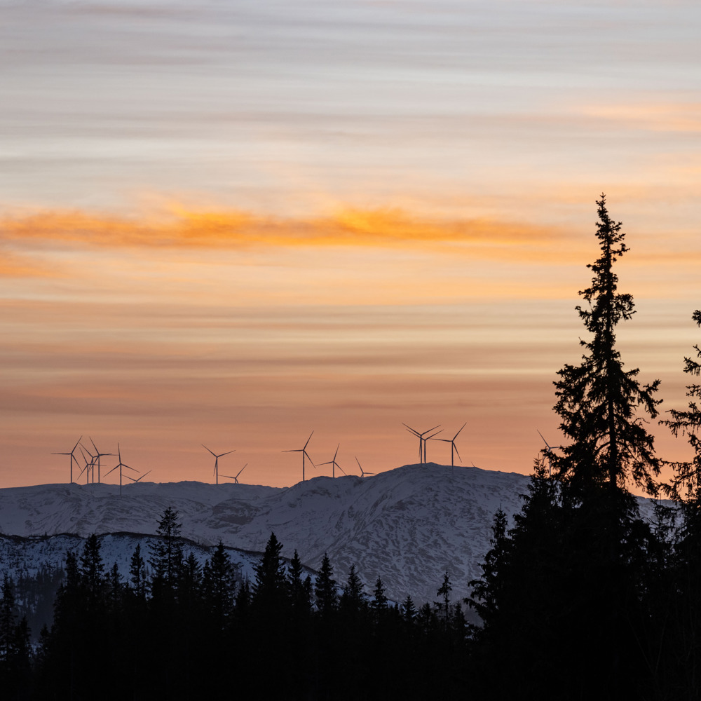 Fotografi som viser hvordan vindmøllene strekker seg over naturen i Øyfjellet vindkraftverk