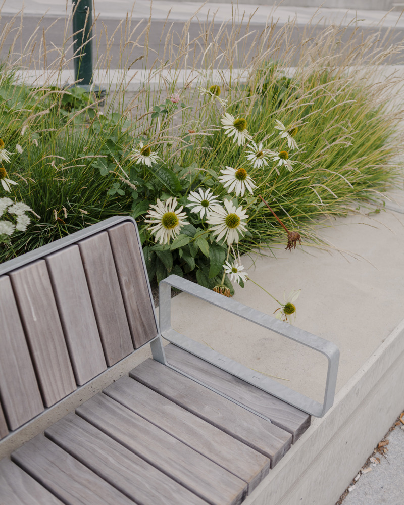 Nærfoto av benk med vegetasjon bak.