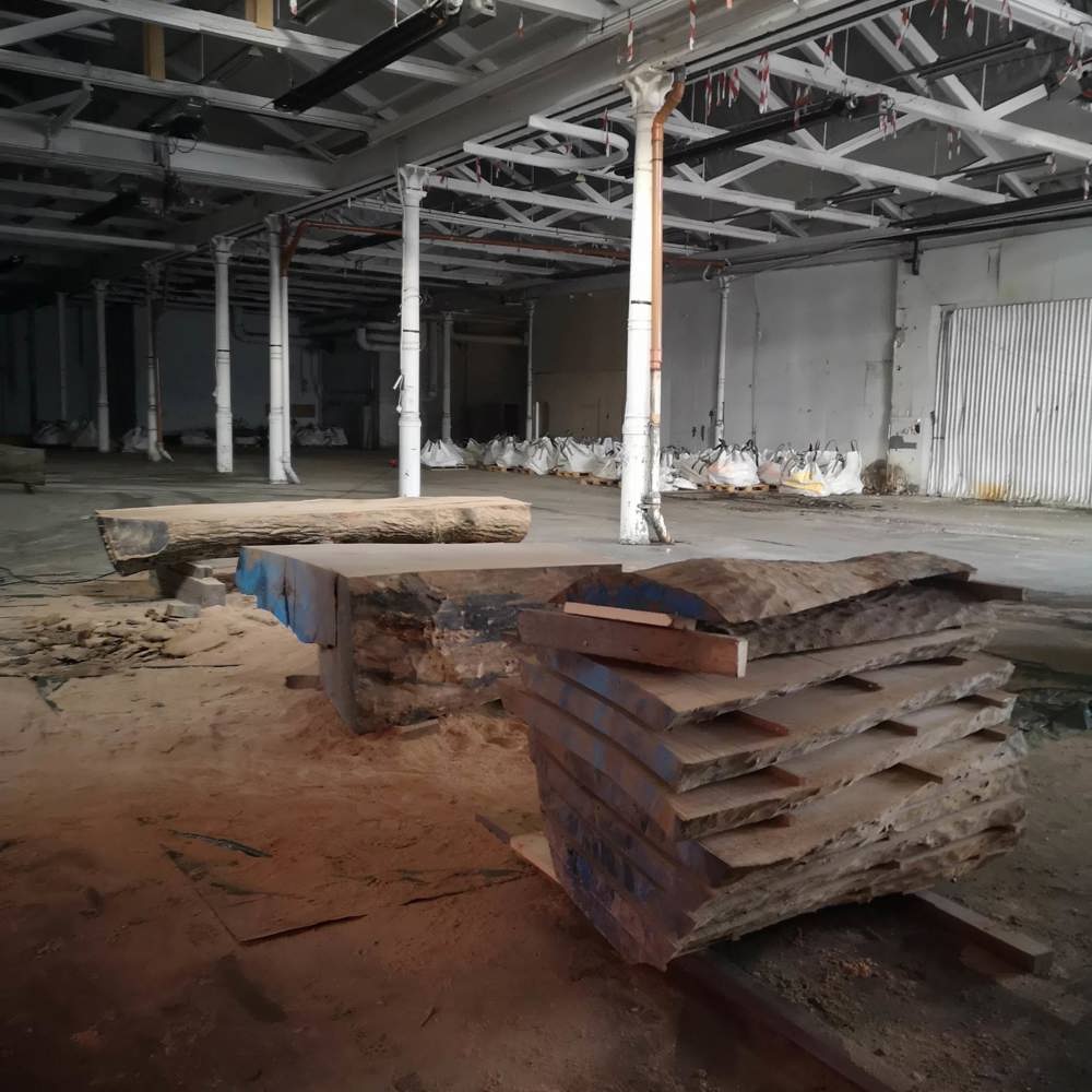 Foto av oppkuttet trestammer inne i en lagerhall.