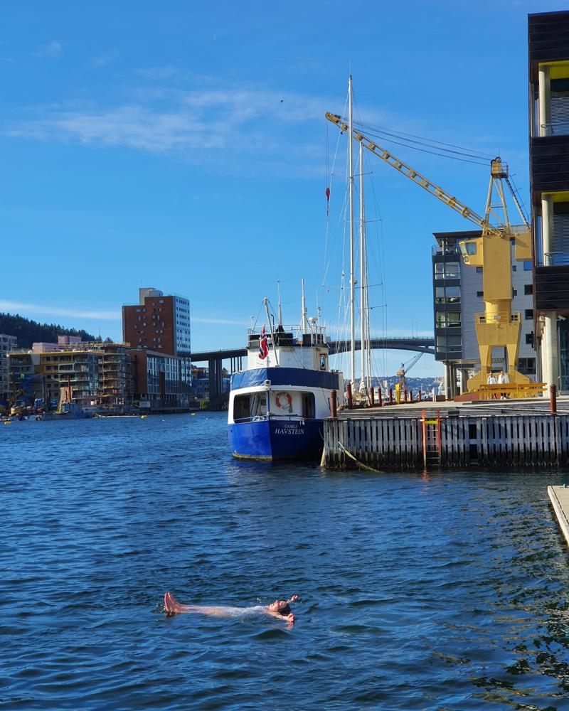Programkomiteen håper deltakerne tar med badetøy. Bilde fra Møhlenpris hvor deltagerne skal på befaring. 