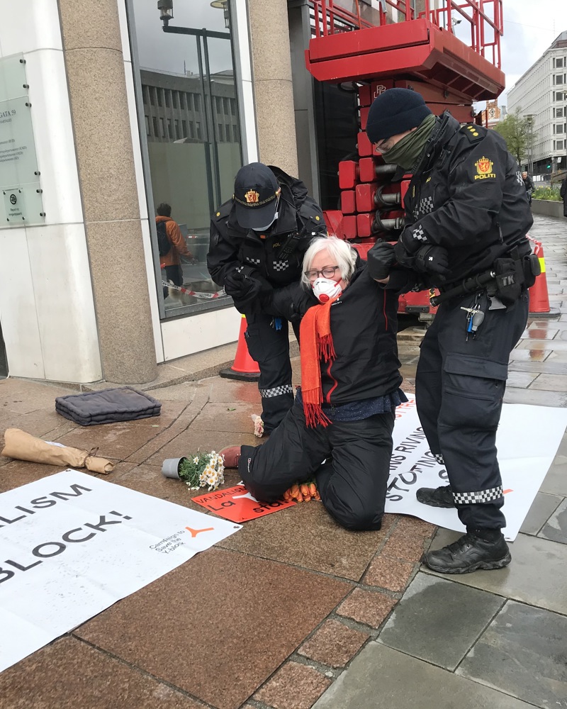 Fotografi som viser Ellen de Vibe som bæres bort av ordensmyndighetene under demonstrasjonene mot rivning av Y-blokka.