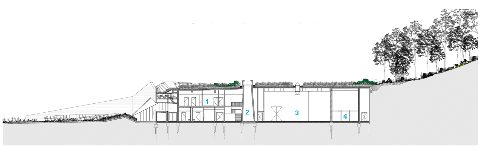Snitt av et bygg som graver seg inn i landskapet. Arkitekt tegning.