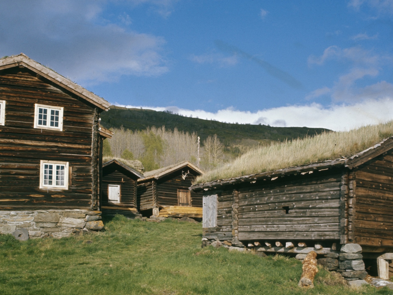 Gammelt tun med lafta bygg og torv på taket. Foto.