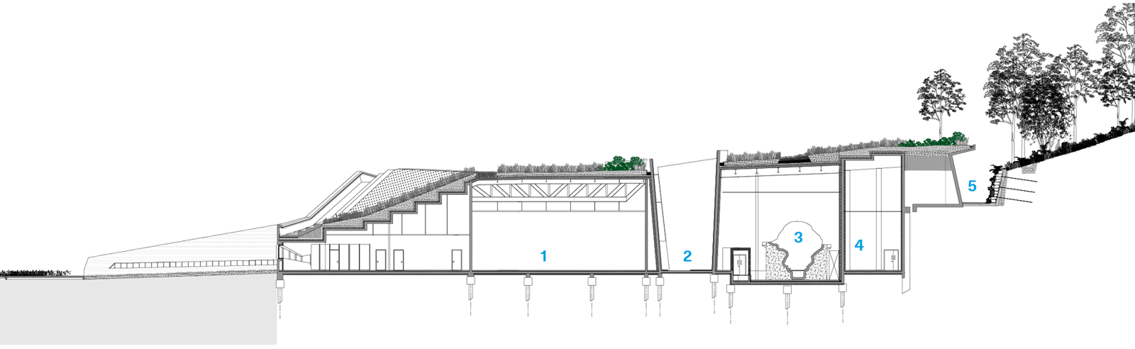 Snitt av bygg som blir en del av landskapet. Arkitekt tegning.